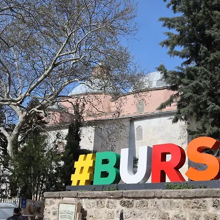 Cozy Duplex Next To Masjid